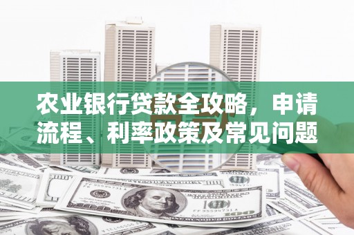 柳州农业银行贷款全攻略，申请流程、利率政策及常见问题解析