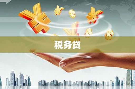 柳州税务贷