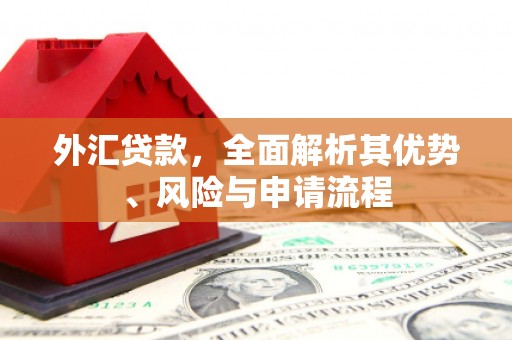 柳州外汇贷款，全面解析其优势、风险与申请流程