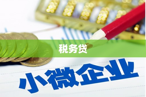柳州税务贷