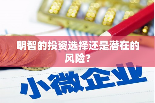 柳州明智的投资选择还是潜在的风险？