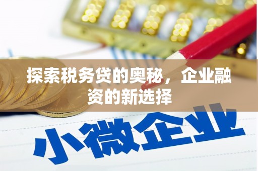 柳州探索税务贷的奥秘，企业融资的新选择