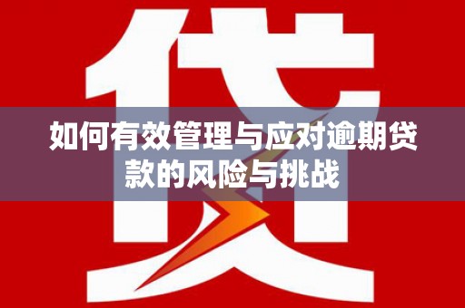 柳州如何有效管理与应对逾期贷款的风险与挑战