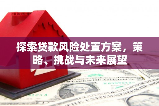 柳州探索贷款风险处置方案，策略、挑战与未来展望