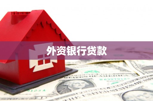 柳州外资银行贷款