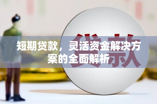 柳州短期贷款，灵活资金解决方案的全面解析