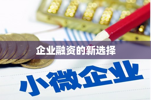 柳州企业融资的新选择