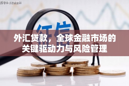 柳州外汇贷款，全球金融市场的关键驱动力与风险管理