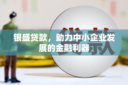 柳州银盛贷款，助力中小企业发展的金融利器