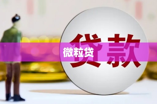 柳州微粒贷