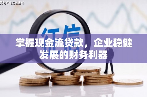 柳州掌握现金流贷款，企业稳健发展的财务利器