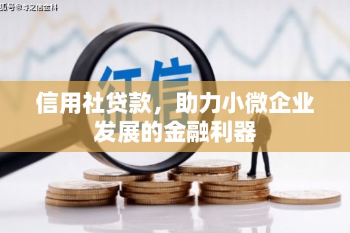 柳州信用社贷款，助力小微企业发展的金融利器