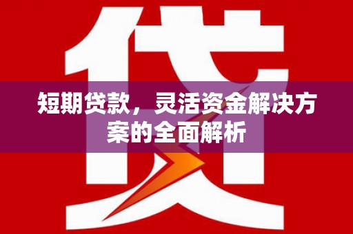 柳州短期贷款，灵活资金解决方案的全面解析