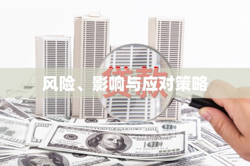 柳州风险、影响与应对策略