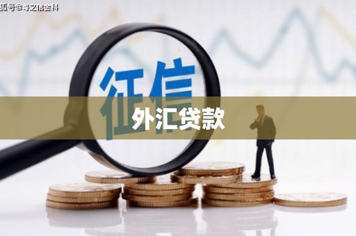 柳州外汇贷款