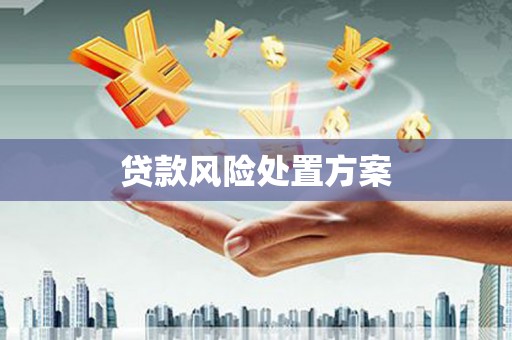 柳州贷款风险处置方案