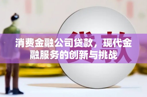 柳州消费金融公司贷款，现代金融服务的创新与挑战