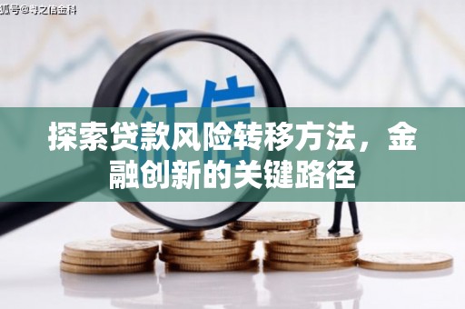 柳州探索贷款风险转移方法，金融创新的关键路径