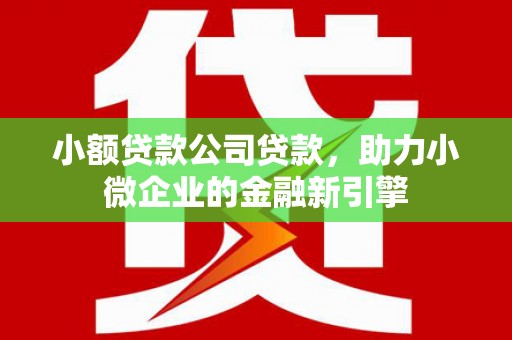 柳州小额贷款公司贷款，助力小微企业的金融新引擎