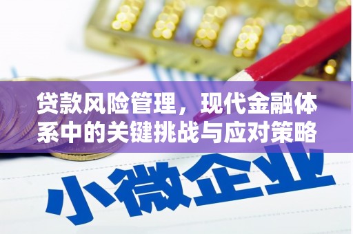 柳州贷款风险管理，现代金融体系中的关键挑战与应对策略