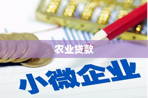 柳州农业贷款