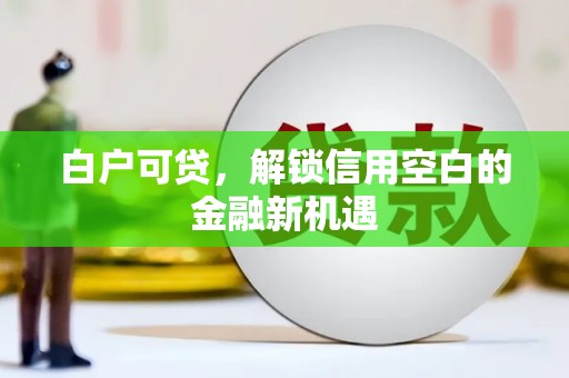 柳州白户可贷，解锁信用空白的金融新机遇
