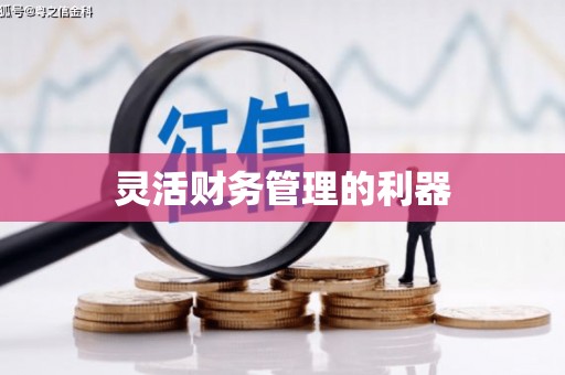 柳州灵活财务管理的利器