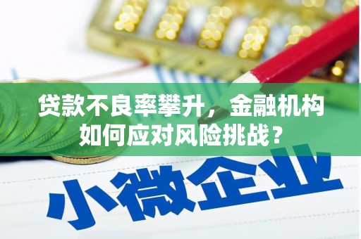 柳州贷款不良率攀升，金融机构如何应对风险挑战？