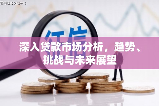 柳州深入贷款市场分析，趋势、挑战与未来展望