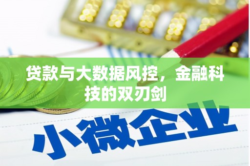 柳州贷款与大数据风控，金融科技的双刃剑