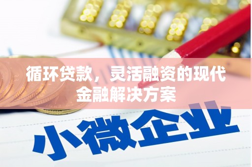 柳州循环贷款，灵活融资的现代金融解决方案