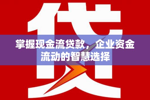 柳州掌握现金流贷款，企业资金流动的智慧选择