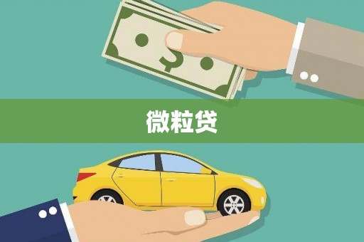 柳州微粒贷