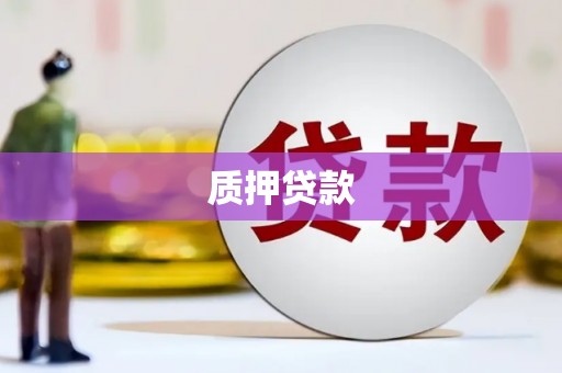 柳州质押贷款