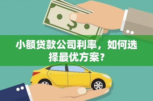 柳州小额贷款公司利率，如何选择最优方案？
