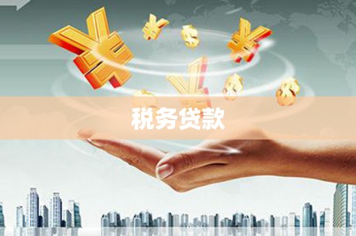柳州税务贷款