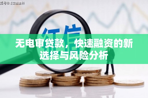 柳州无电审贷款，快速融资的新选择与风险分析