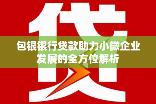 柳州包银银行贷款助力小微企业发展的全方位解析