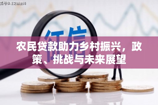 柳州农民贷款助力乡村振兴，政策、挑战与未来展望