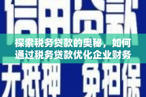 柳州探索税务贷款的奥秘，如何通过税务贷款优化企业财务