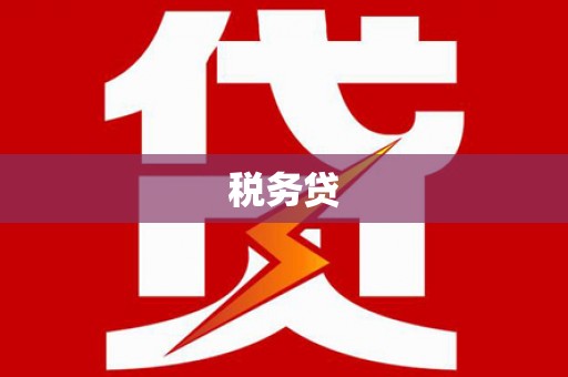 柳州税务贷