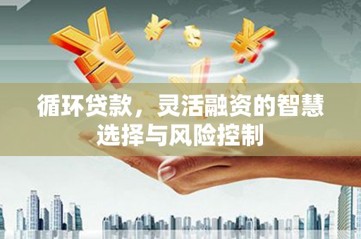 柳州循环贷款，灵活融资的智慧选择与风险控制