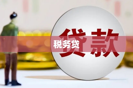 柳州税务贷
