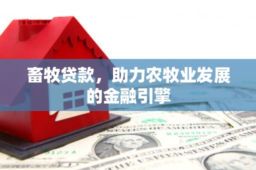 柳州畜牧贷款，助力农牧业发展的金融引擎