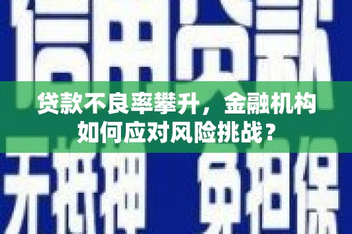 柳州贷款不良率攀升，金融机构如何应对风险挑战？