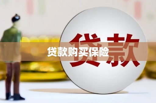 柳州贷款购买保险