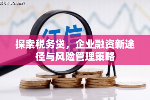 柳州探索税务贷，企业融资新途径与风险管理策略