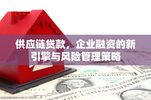 柳州供应链贷款，企业融资的新引擎与风险管理策略