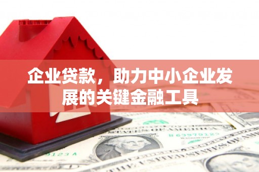 柳州企业贷款，助力中小企业发展的关键金融工具