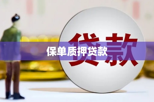 柳州保单质押贷款